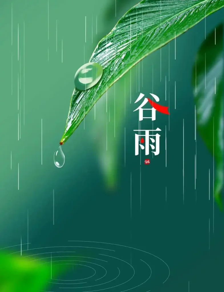26谷雨.cn插图